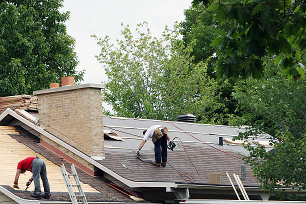 Best Metal Roofing Contractor  in Lowell, OR